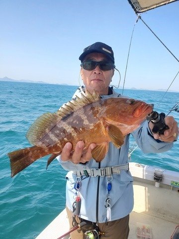 アコウ(キジハタ)