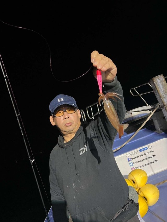 ムギイカ(スルメイカ)