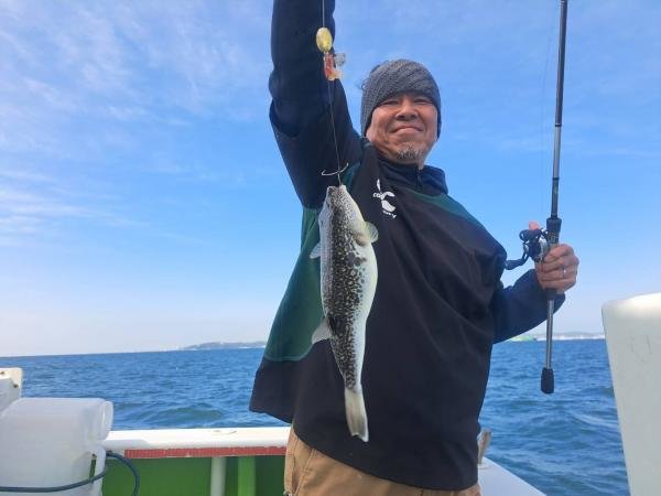 ショウサイフグ