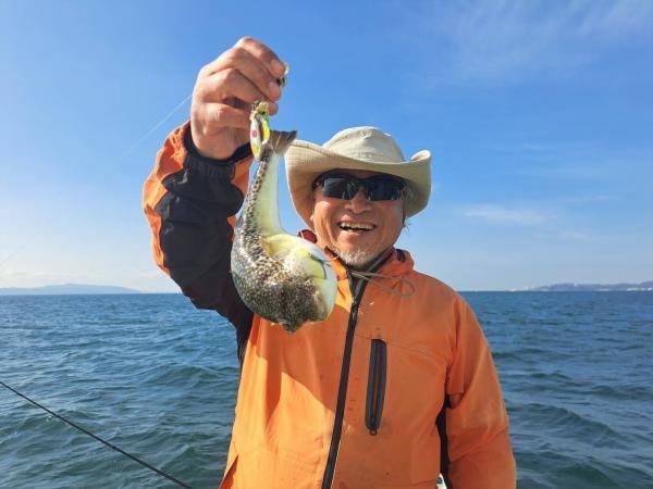 ショウサイフグ