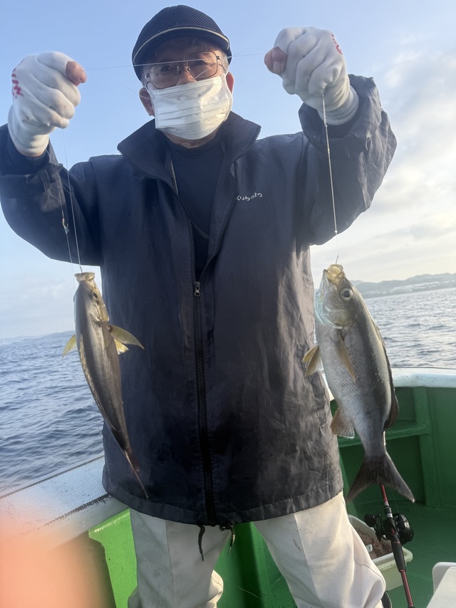 イサギ(イサキ)