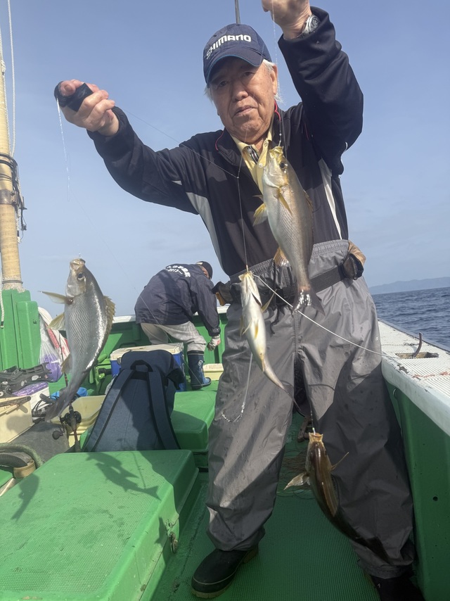 イサギ(イサキ)