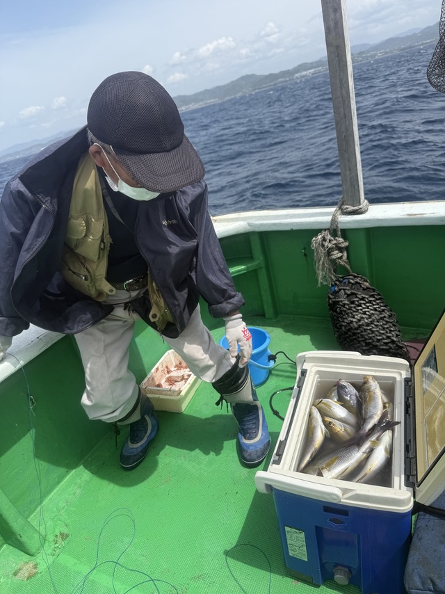 イサギ(イサキ)