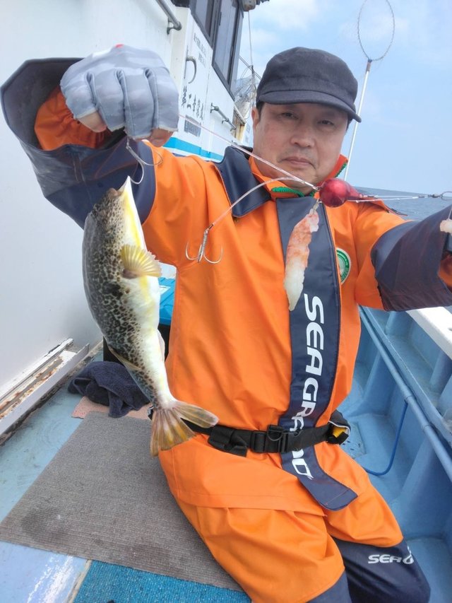 ショウサイフグ