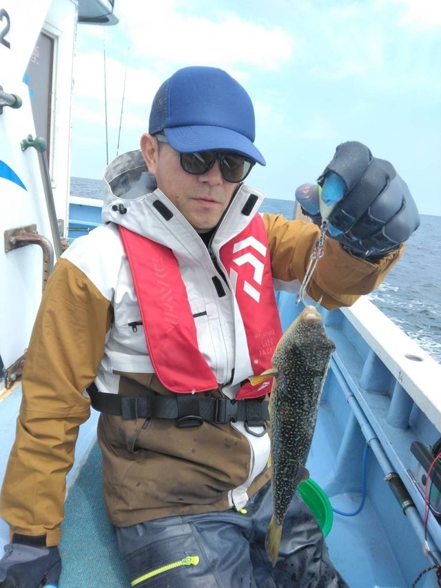 ショウサイフグ