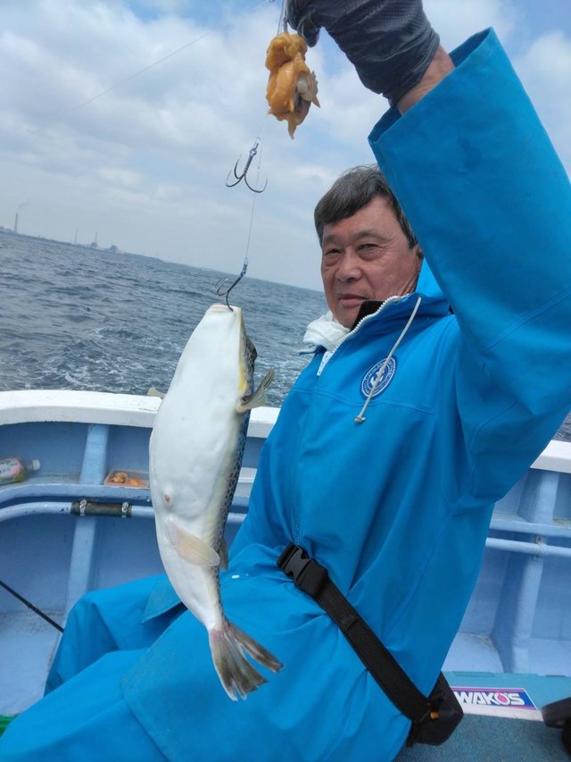 ショウサイフグ