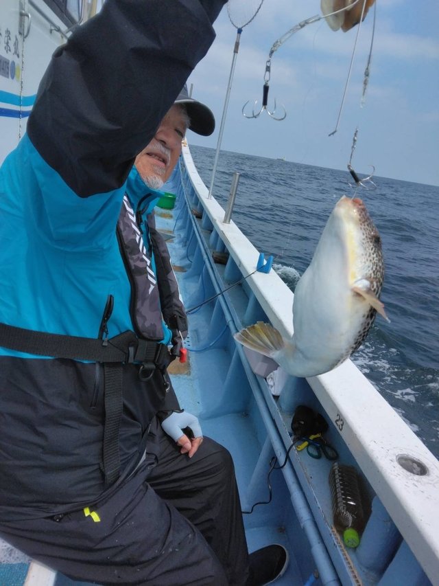 ショウサイフグ