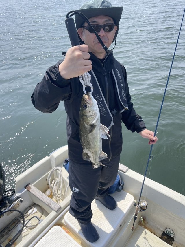 シーバス(スズキ)