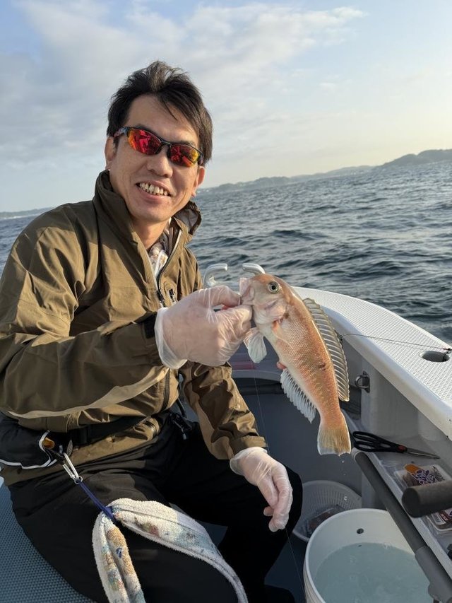 アマダイ(アカアマダイ)