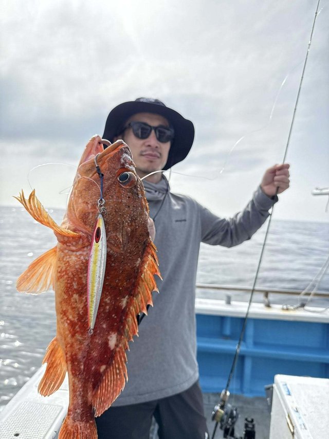 ウッカリカサゴ