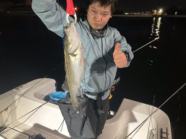 シーバス(スズキ)