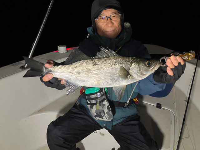 シーバス(スズキ)