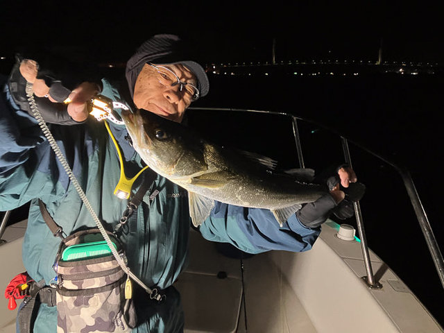 シーバス(スズキ)