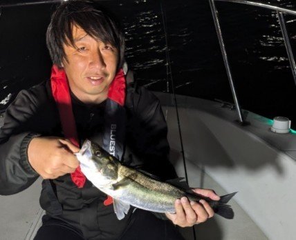 シーバス(スズキ)