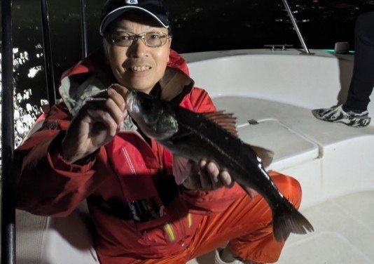 シーバス(スズキ)