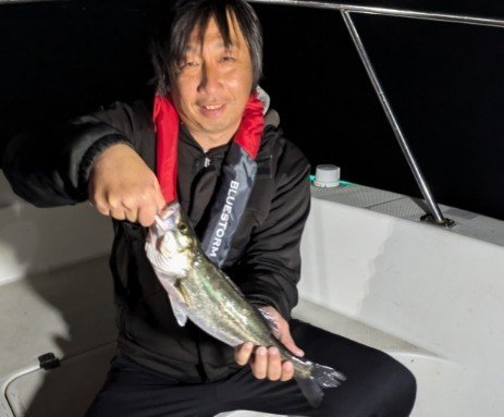 シーバス(スズキ)