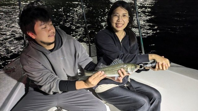 シーバス(スズキ)