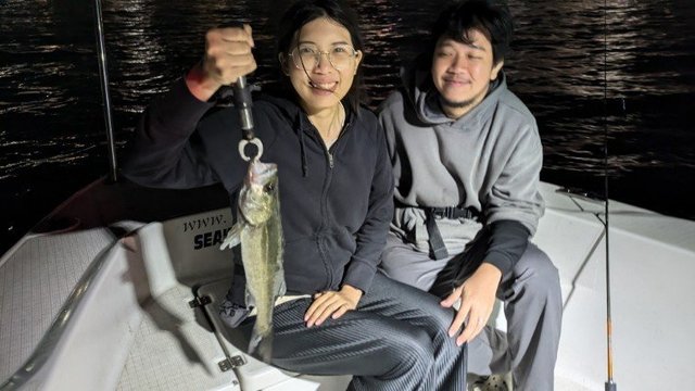 シーバス(スズキ)