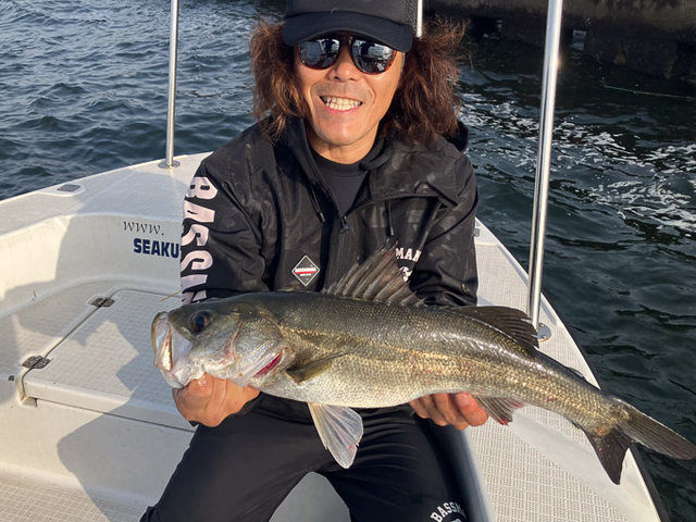 シーバス(スズキ)