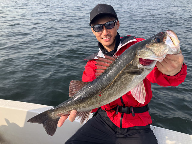 シーバス(スズキ)