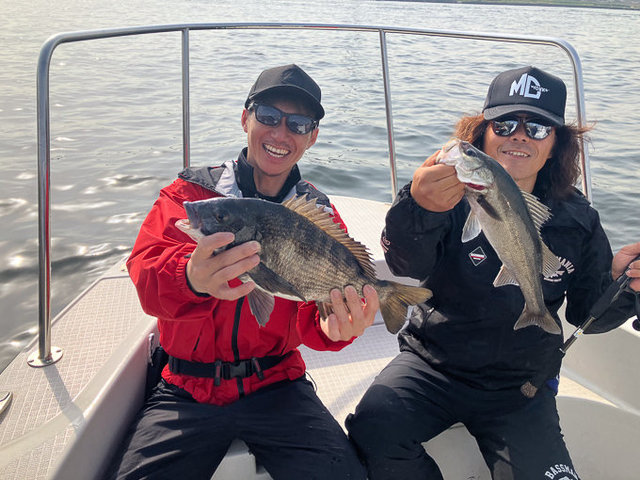 クロダイ・シーバス(スズキ)