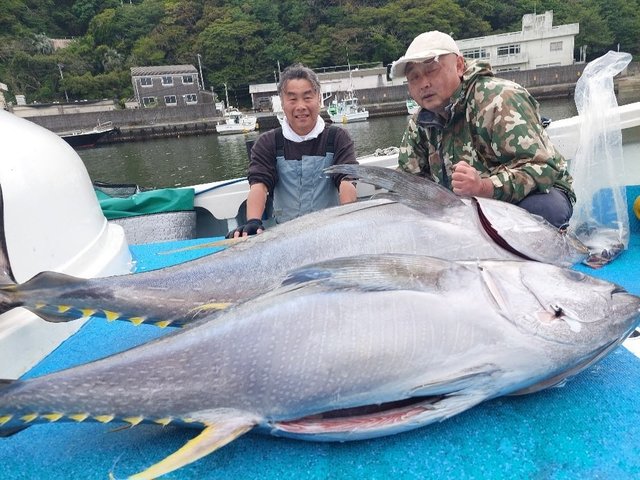 キハダマグロ(キハダ)