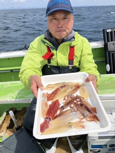 マルイカ(ケンサキイカ)