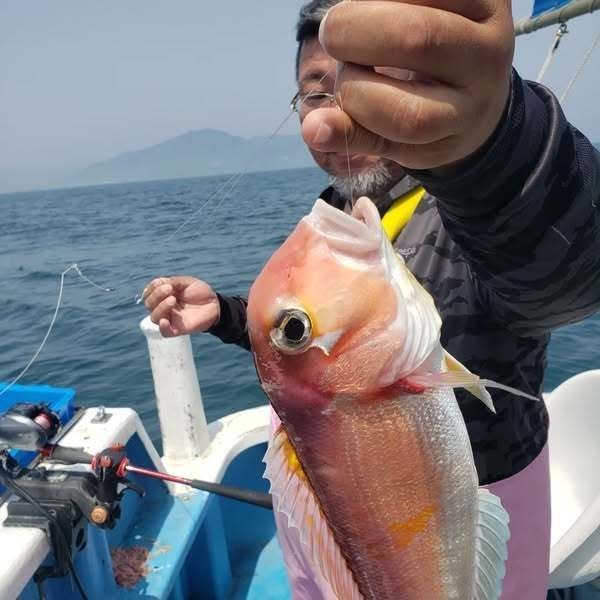 アマダイ(アカアマダイ)