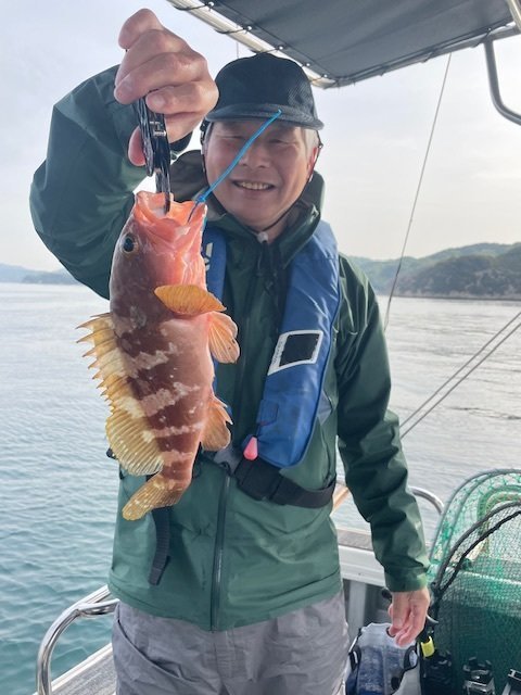 アコウ(キジハタ)