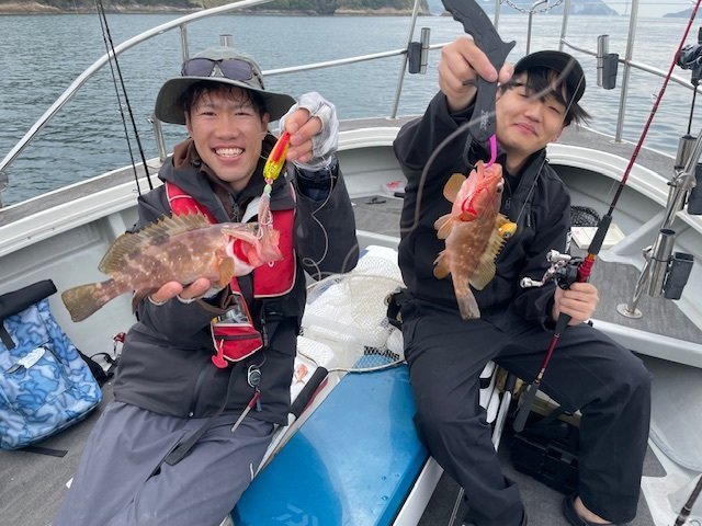 アコウ(キジハタ)