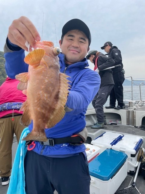 アコウ(キジハタ)