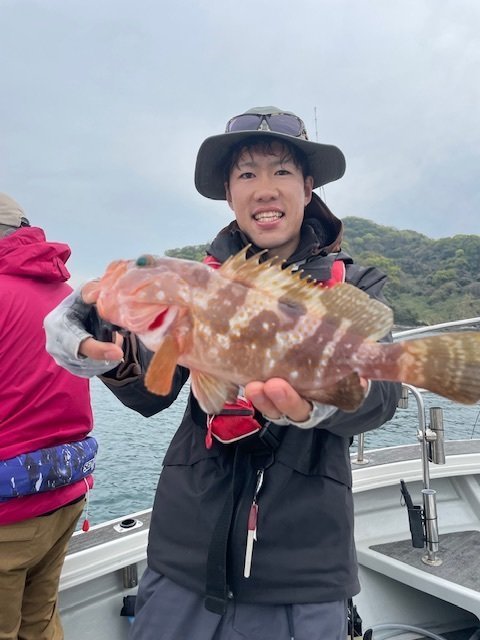 アコウ(キジハタ)