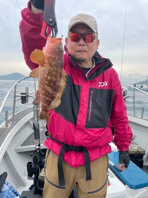 アコウ(キジハタ)