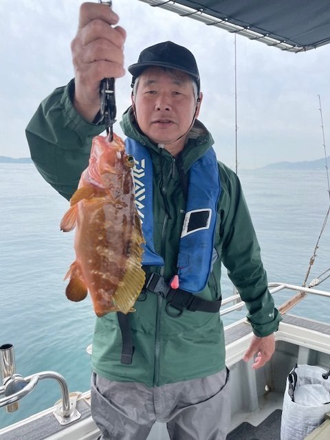 アコウ(キジハタ)