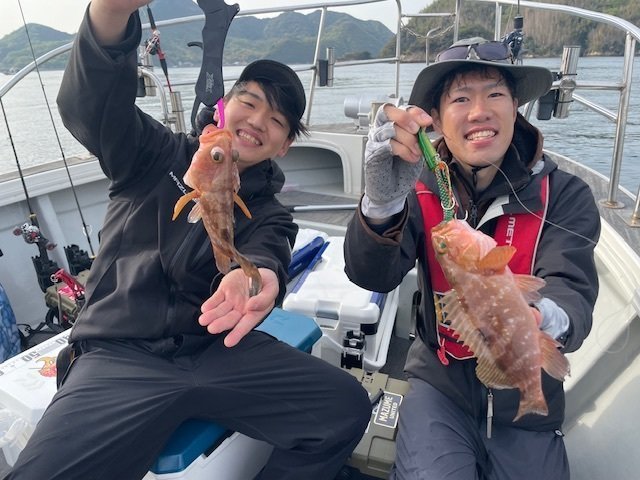 アコウ(キジハタ)