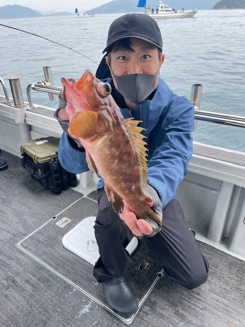 アコウ(キジハタ)