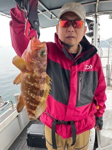 アコウ(キジハタ)