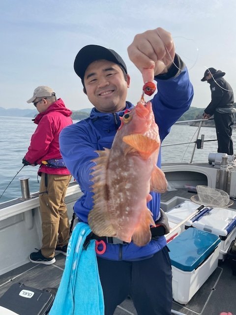 アコウ(キジハタ)