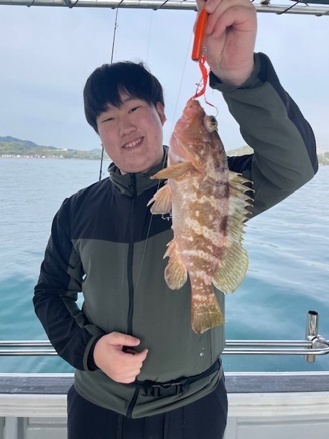 アコウ(キジハタ)