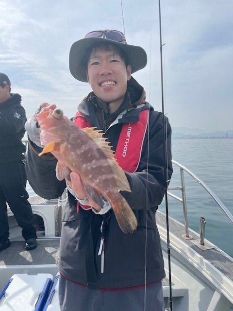 アコウ(キジハタ)