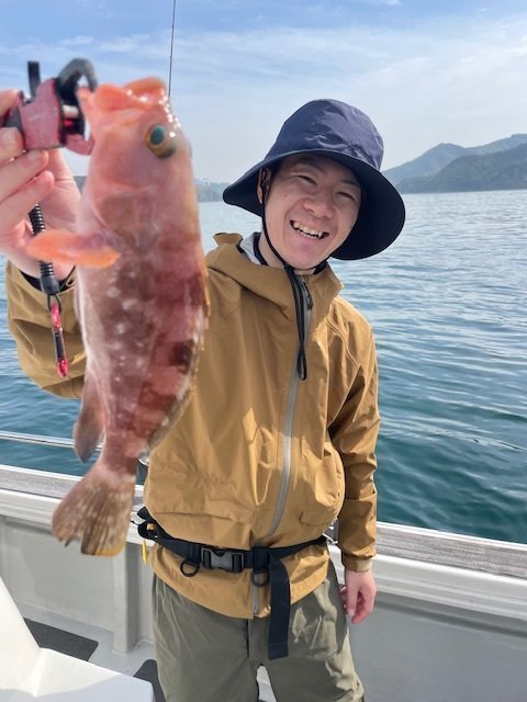 アコウ(キジハタ)