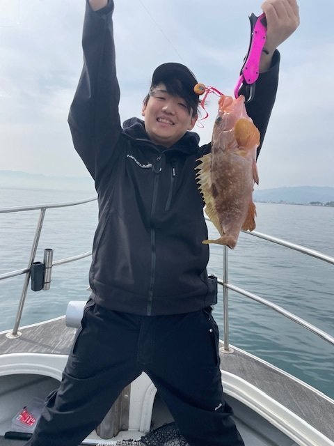 アコウ(キジハタ)