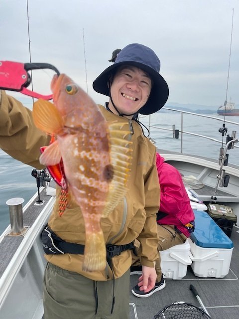 アコウ(キジハタ)