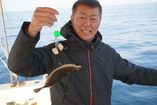 カレイ(マコガレイ)