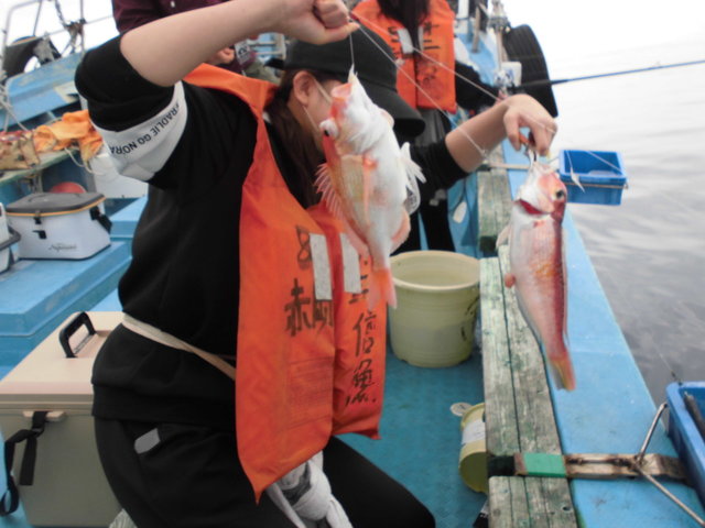 レンコダイ(キダイ)・アマダイ(アカアマダイ)
