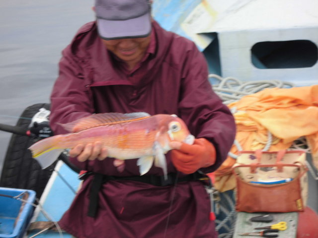 アマダイ(アカアマダイ)