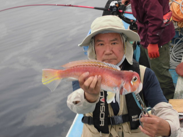 アマダイ(アカアマダイ)