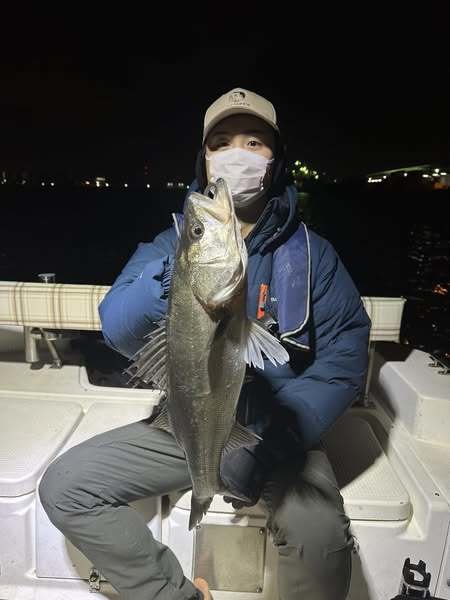 シーバス(スズキ)