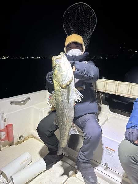 シーバス(スズキ)