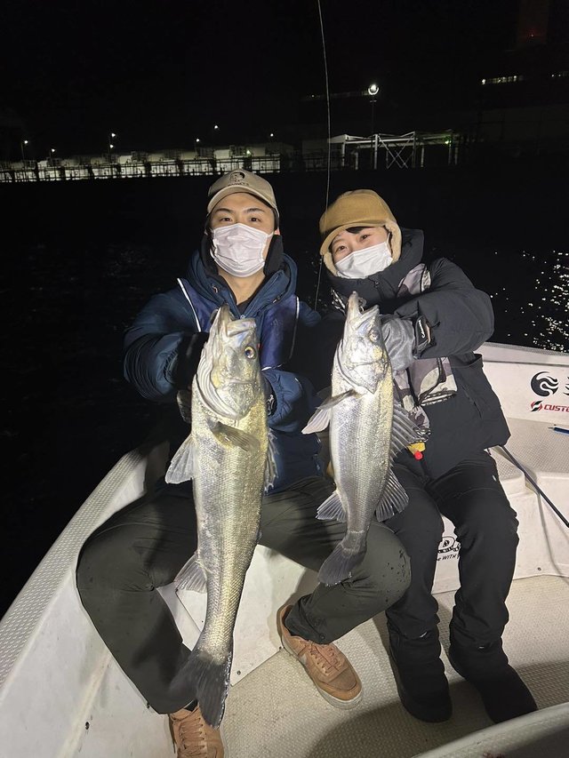 シーバス(スズキ)